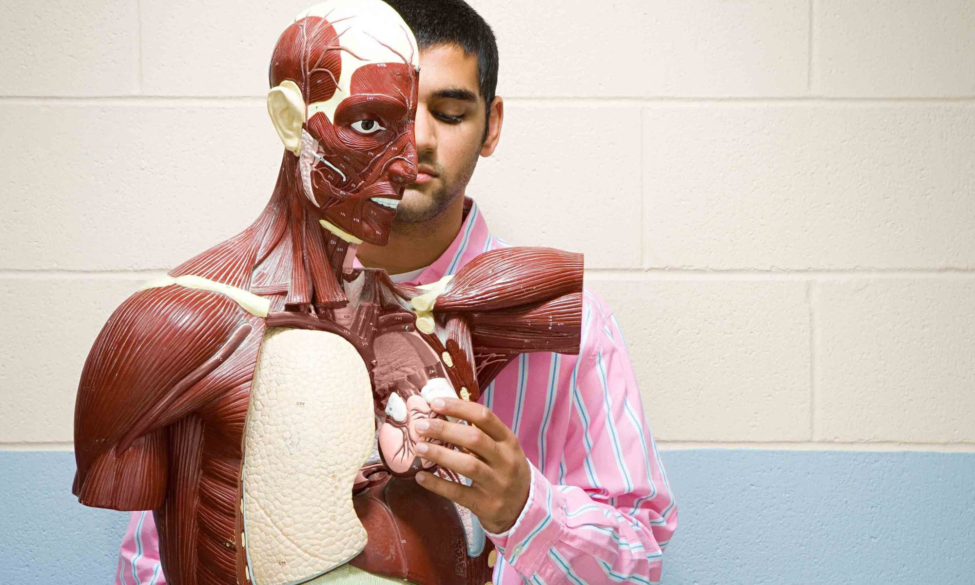 Mandl School Healthcare Degree programs