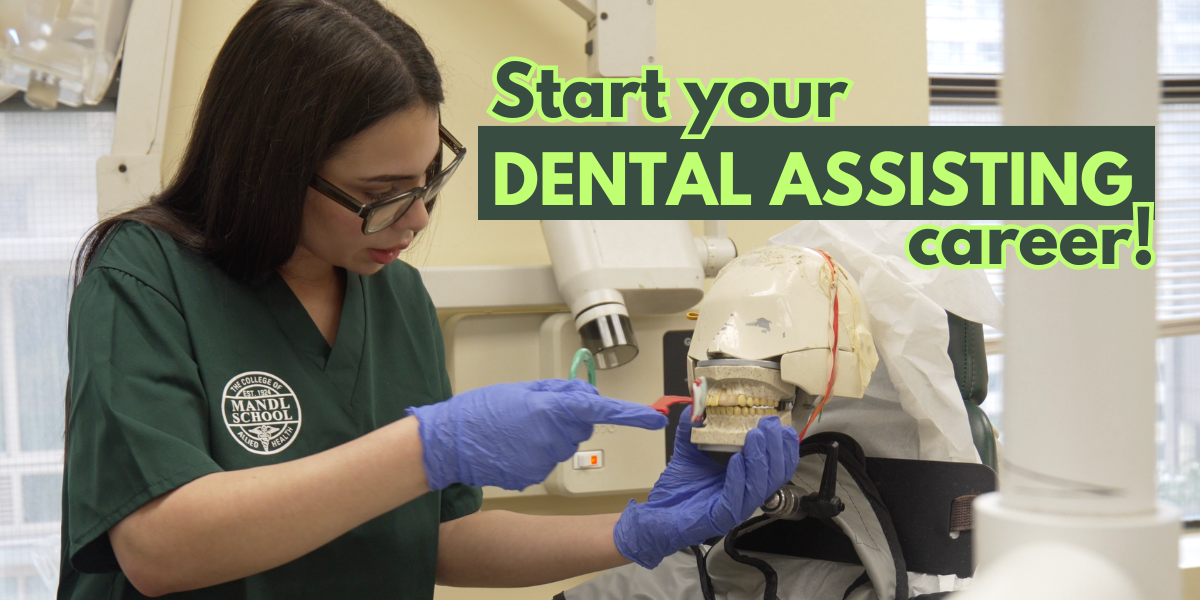 Mandl School Dental Careers