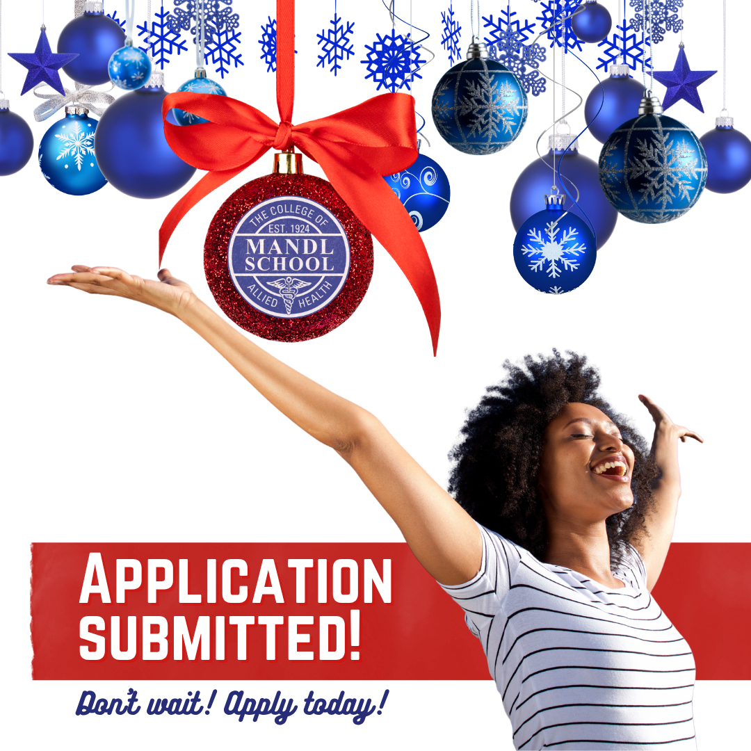 Holiday time is the best time to apply to Mandl School